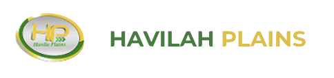 Havilah Plains Ltd